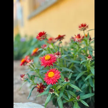 Holiday home Summer House Fondi